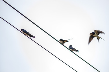 Similar image 22308800