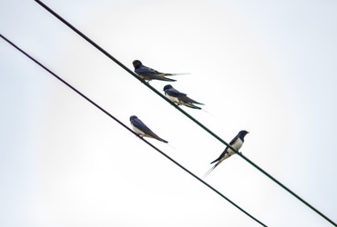 Similar image 22308801