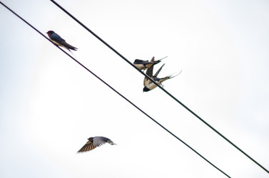 Similar image 22308802