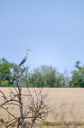 Similar image 22308803