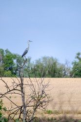 Similar image 22308804