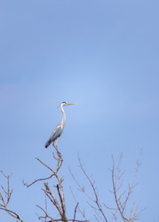 Similar image 22308805