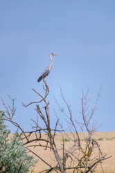 Similar image 22308806