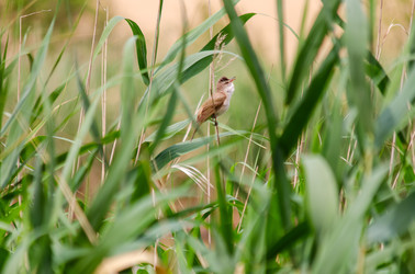 Similar image 22311894