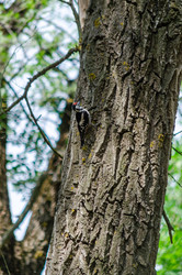 Similar image 22311895