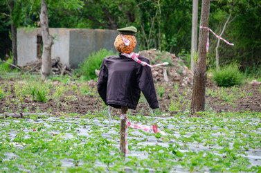 Similar image 22311896