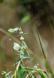 Similar image 22311897