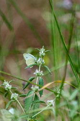 Similar image 22311898