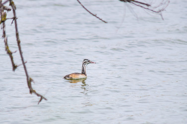 Similar image 22308807