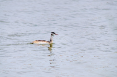 Similar image 22308809