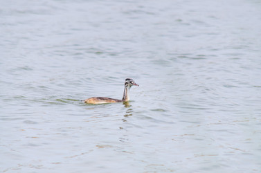 Similar image 22308810