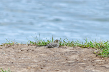 Similar image 22311900