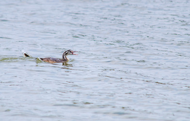 Similar image 22308812