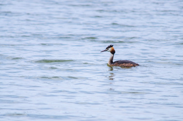 Similar image 22311901