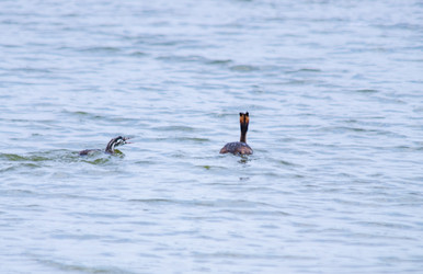 Similar image 22311902