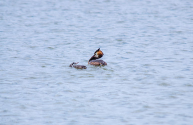 Similar image 22311903