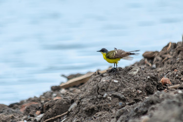 Similar image 22308813