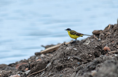 Similar image 22308814