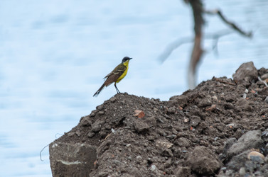 Similar image 22308815