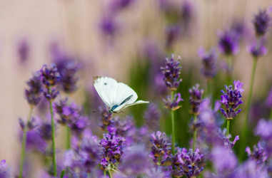 Similar image 22308816