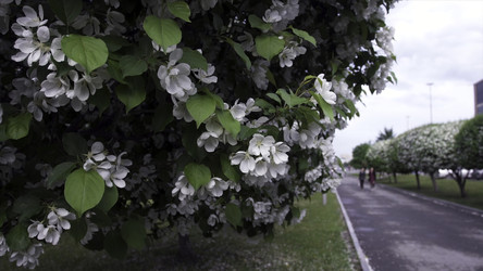 Similar image 22328349