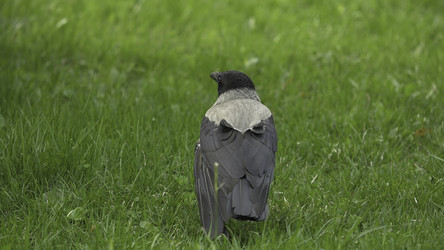 Similar image 22328355