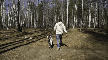 Similar image 22328357