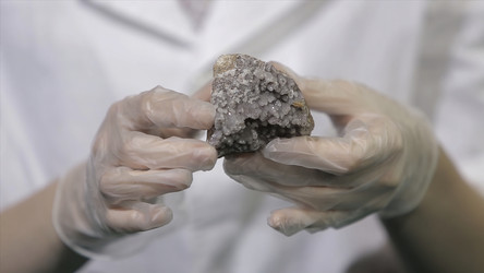 Similar image 22328690