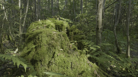 Similar image 22328692