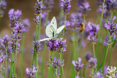 Similar image 22308817