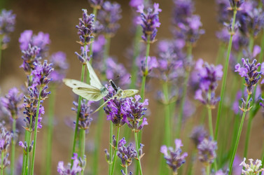 Similar image 22308818