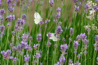 Similar image 22308819