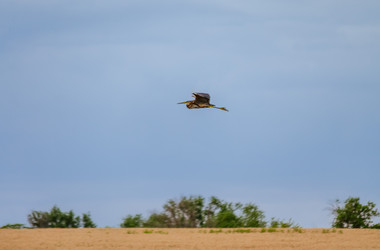 Similar image 22308821