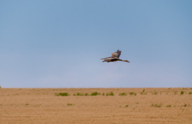 Similar image 22308822