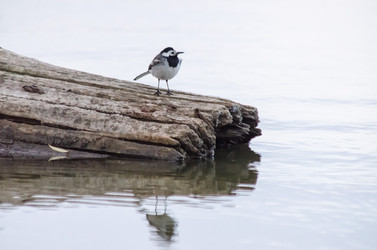 Similar image 22308823