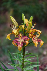 Similar image 22308824