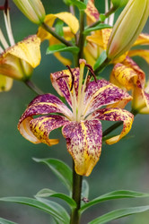 Similar image 22308825