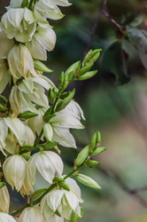 Similar image 22308826