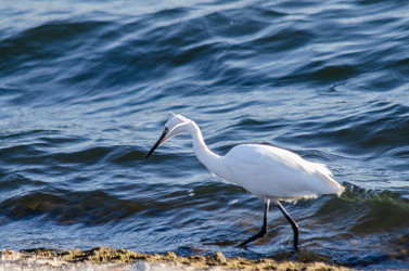 Similar image 22308829