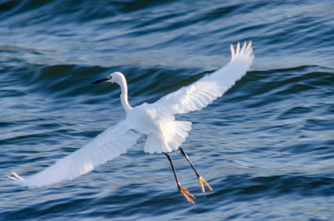 Similar image 22308830