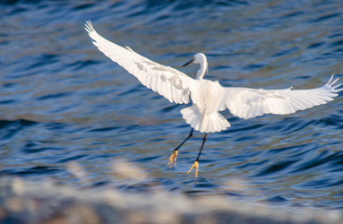 Similar image 22308831