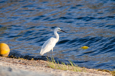 Similar image 22308832