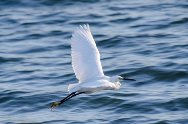 Similar image 22308833