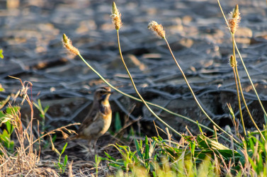 Similar image 22308834