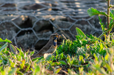 Similar image 22308835