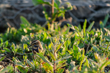 Similar image 22308836