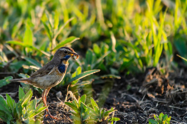 Similar image 22308837