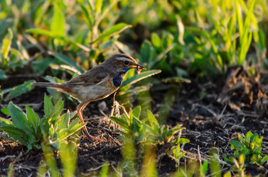 Similar image 22308838