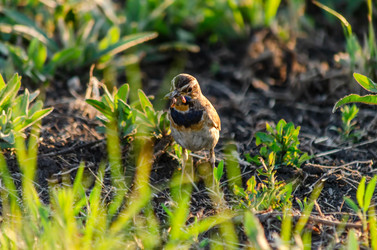 Similar image 22308839