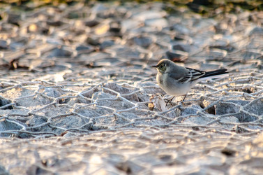 Similar image 22308841